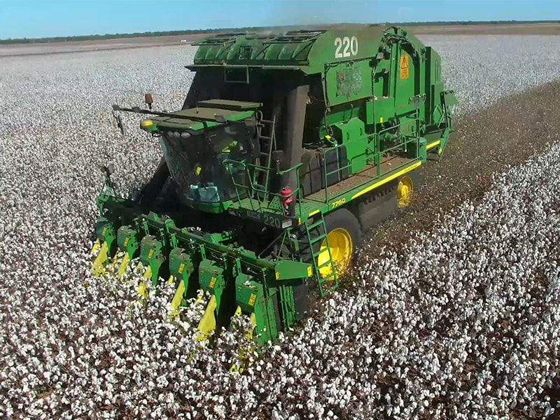 采棉机