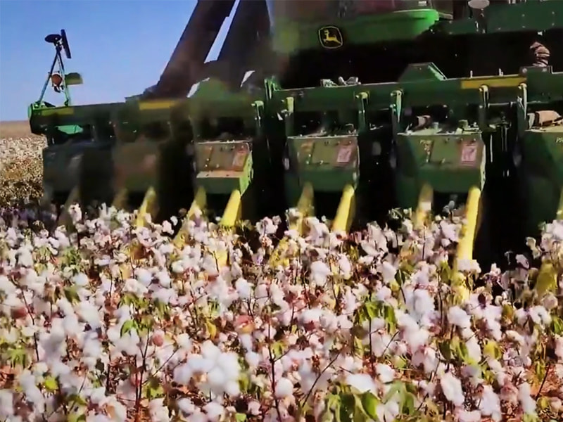 采棉机